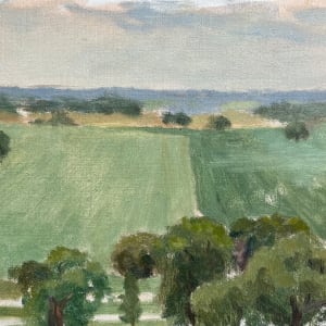 Cameron park from circle point, overcast day in spring by Sean Oswald