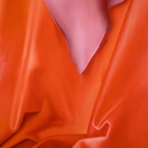 Behind the Drapes (After Hans Baldung Grien) by Evan Halter 