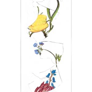 Bouquet Study (After Ambrosius Bosschaert) by Evan Halter 