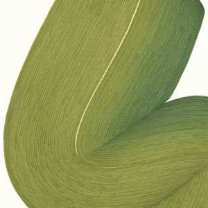 Lines 252 by Dana Piazza 