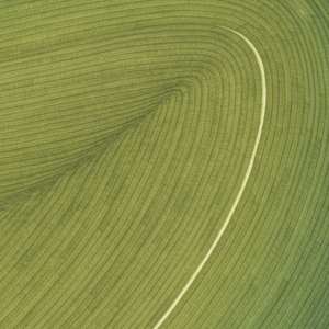 Lines 252 by Dana Piazza 