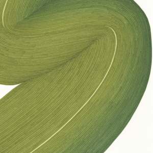 Lines 252 by Dana Piazza 