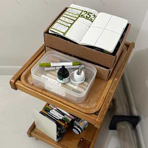 Lines 252 by Dana Piazza 