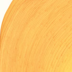Lines 143 by Dana Piazza 