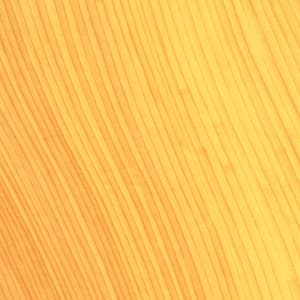 Lines 143 by Dana Piazza 