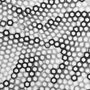 Hexagons 4 by Dana Piazza 
