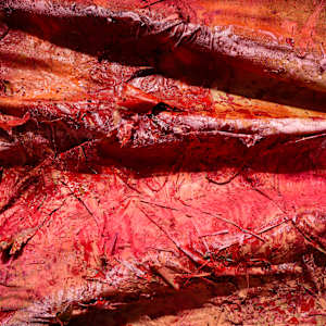 Grifa Negra y Vibras Trenzadas diptych by Coralina Rodriguez Meyer 