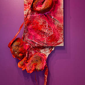 Pulpa Mordida, Carne Fecunda (fresh chewed pulp flesh) by Coralina Rodriguez Meyer