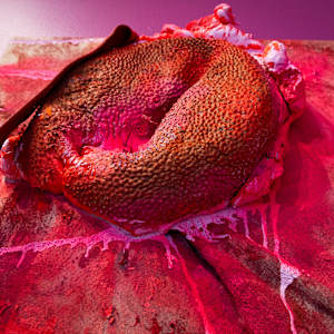 Pulpa Mordida, Carne Fecunda (fresh chewed pulp flesh) by Coralina Rodriguez Meyer 