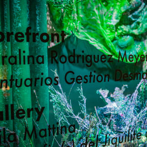 Santuarios Gestion Desmadres Coralina Rodriguez Meyer solo show x Immigrant Artist Biennial by Coralina Rodriguez Meyer 