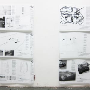 Mirror Stage, Removals / Demolition (Identity Construction Documents) by Coralina Rodriguez Meyer 