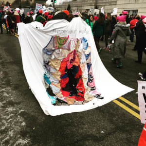 Arpillera Americanx * Cunt Quilt (Inaugural) Cunt Congress by Coralina Rodriguez Meyer  Image: Inaugural Women's March (Cunt Congress) Washington DC
