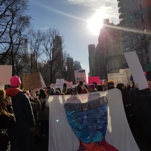 Arpillera Americanx * Cunt Quilt (Hourglass) Cunt Congress by Coralina Rodriguez Meyer  Image: Women's March NYC 1/20/2018
