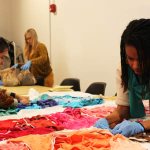 Arpillera Americanx * Cunt Quilt (Gap$) Stitch n Bitch by Coralina Rodriguez Meyer  Image: Artist Adrienne Tarver & critic Wendy Vogel bunch panties into bachelor patterns on the arpillera