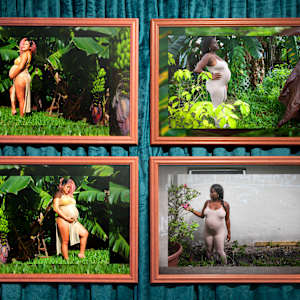 Platano Futilidad y Fertilidad (Catherina de Liberty City) diptych by Coralina Rodriguez Meyer 