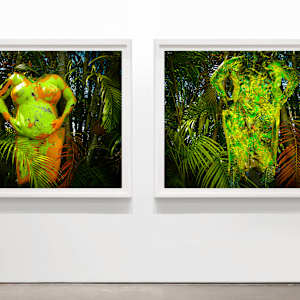 Citrus Skin Weighing on a Pear or Tear Shape, Drain the Swamp or It will Drain You diptych by Coralina Rodriguez Meyer