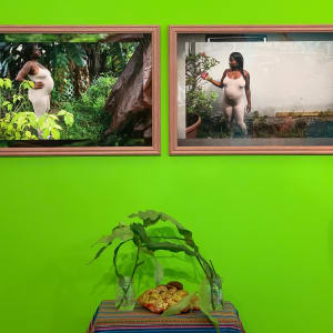 Unbearable Fruit Coralina Rodriguez Meyer solo show x Bronx River Art Center by Coralina Rodriguez Meyer 