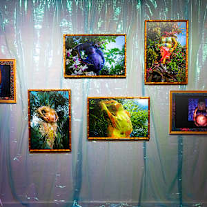 Sueños Senos Exhumadas del Cenote Yemaya by Coralina Rodriguez Meyer 