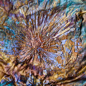 Palma Sola con Son del Sol (Solitary Palm with the Sun's Son/Sound) by Coralina Rodriguez Meyer 