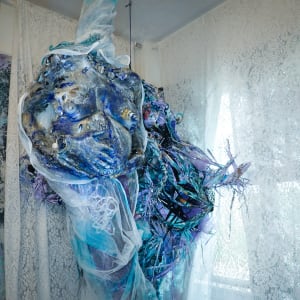 Claimed & Reclaimed by Coralina Rodriguez Meyer 