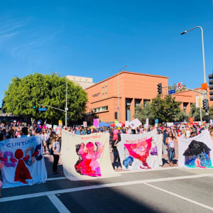 Arpillera Americanx * Cunt Quilt (Traffic) Cunt Congress by Coralina Rodriguez Meyer  Image: 4 Cunt Quilt Arpilleras Americanx block traffic to allow protesters to cross the street in downtown Los Angeles during the march