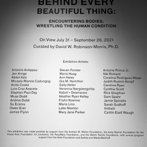 Behind Every Beautiful Thing: Encountering Bodies, Wrestling the Human Condition by Coralina Rodriguez Meyer 