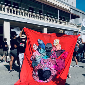 Arpillera Americanx * Cunt Quilt (Crown) Cunt Congress by Coralina Rodriguez Meyer  Image: Protesters bear Arpillera Americanx Cunt Quilt (Crown) in front of the downtown Miami Correctional facility where thousands of inmates await trial