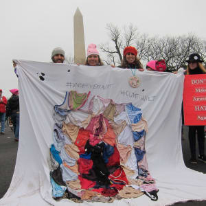 Arpillera Americanx * Cunt Quilt (Inaugural) Cunt Congress by Coralina Rodriguez Meyer