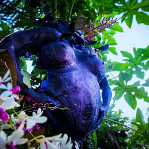 Luna Negra (Velas Negras Homestead Everglades) by Coralina Rodriguez Meyer 