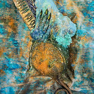 Semillas Rodajas y Balas Resbalosas by Coralina Rodriguez Meyer