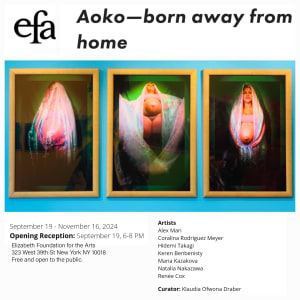 Aoko - Born Away from Home by Coralina Rodriguez Meyer 
