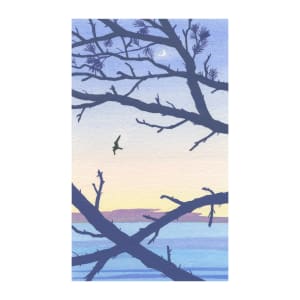 It could be many birds (sale) by MaryEllen Hackett