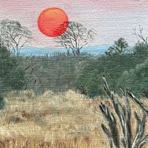 Out of Africa by Barbara Hunter Fine Art