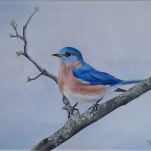 Eastern Bluebird by Donna Gonzalez