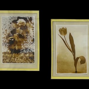 Untitled - Flower Diptych by Karina G.