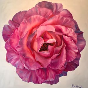 Pink Rose by Rebecca Bissi