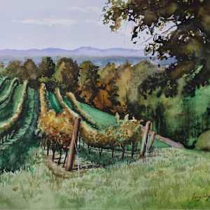 Carter Mountain by Terry Wylie