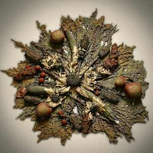 Harvest by Hannah Hones