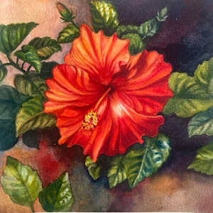 Hibiscus by Vonnie Whitworth
