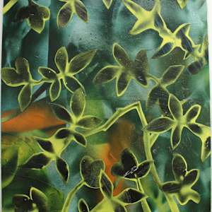 Looking Into Plants by Andy Harris
