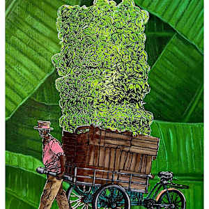 Banana Man by Victoria Jenson