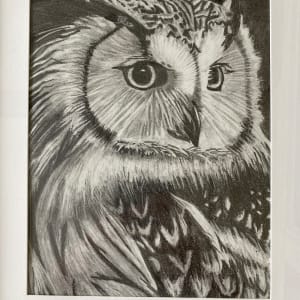 Owl by Karen Keenan