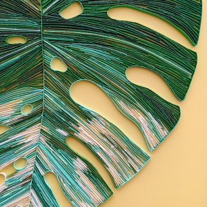 Variegated Monstera by Kelly Martin