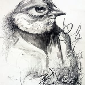 Large Eye Bird by Marcia Neblett