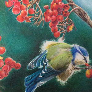 Bird with Berries by Maria Pazos