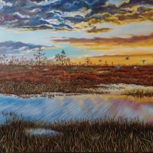 Marshlands, St. John's River, Florida by Rick Seguso