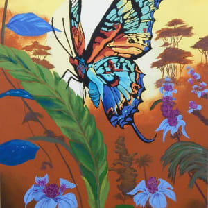 Madagascar Sunset Moth by Tosha Watkins