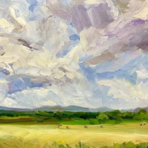 Shenandoah Hayfield by Bart Levy