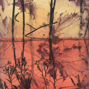 Pond Sunrise by Juliet Mattila