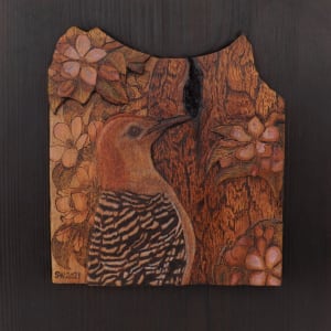 Red Bellied Woodpecker by Stefani Woodams